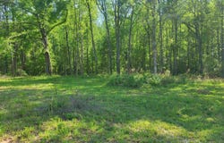 3151 N Highway 14, Greer, SC 29651