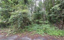 8043 Sparrow, Jonesboro, GA 30238