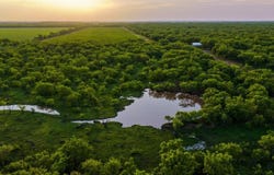 10000 Fm 209, Graham, TX 76450