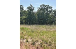 00 Stallion Meadows, Perrin, TX 76486