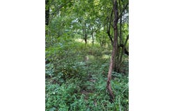 Lot 2 Stroud Lane, Centertown, KY 42328