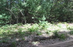 Victoria Boulevard, Pentwater, MI 49449