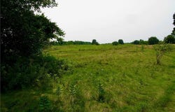 3939 Carleton Island Road 2, Cape Vincent, NY 13618