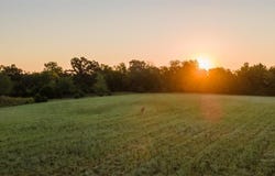5 S Westminster Boulevard, Guthrie, OK 73044
