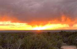 9 N7340, St Johns, AZ 85936