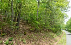 211 Wahuhu Lane, Loudon, TN 37774