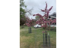 916 Canyon Ave, Cody, WY 82414