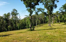 008-02893-001 HWY 5, Norfork, AR 72658