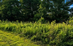 Tract A & B River Pointe Drive, Cedar Bluff, AL 35959