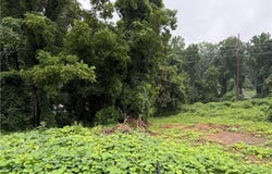 500 Loach Street, Asheboro, NC 27203
