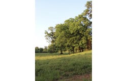 299 tract 2 harmony, Amity, AR 71921-0000