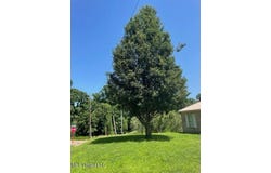 11319 Wren Road, Hernando, MS 38632