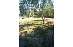 Tamarack, Florence, OR 97439