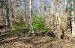Lot 421 Mystic Star Drive, New Tazewell, TN 37825