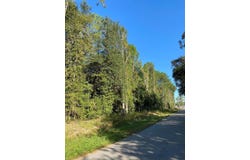 Elm Street, Picayune, MS 39466