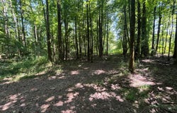 3119  Doc gray road, Maynard, AR 72444