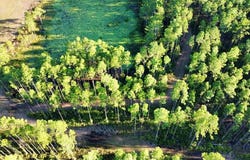 Tract 60 150th St, Chiefland, FL 32626