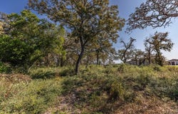 165 Cru Ct, Bellville, TX 77418