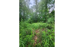 11137 Abbey Lane, New Buffalo, MI 49117