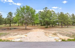 Hwy 69, Alba, TX 75410