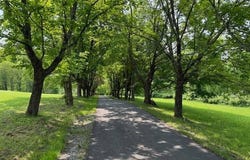 231 Tripp Hill Road, Cooperstown, NY 13326