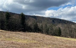 951 County Road 42, Pharsalia, NY 13155