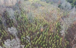 00 Williamson Creek Road, Ruffin, NC 27326