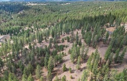 NKA Weaver Way, Deer Park, WA 99006