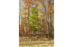 Schwyz Drive, Reed City, MI 49677