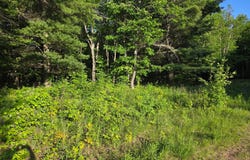 On NORTH WINDS LN, Phelps, WI 54554