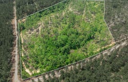15.84 Acre Crown Zellerback Rd., Lumberton, MS 39455