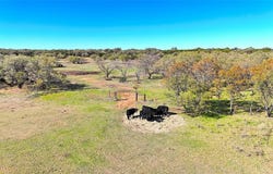 Tbd Tract 6 Hayes Road, Mineral Wells, TX 76067