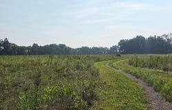 0 Willow Road, Bennington, IN 47011