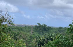 Chalan Franciscan Tugon Road, Yigo, GU 96929