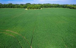 8584 S 600 W, Warren, IN 46792
