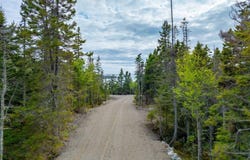 M14 Lot 16 S South Ocean Road, Machiasport, ME 04655