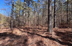 Deyton Drive lot: 50, Blairsville, GA 30512