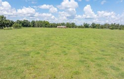 Wellborn, FL 32094