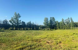 4390 Mount Carmel, Cabot, AR 72023