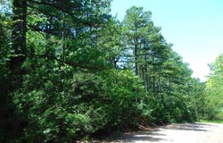 tbd Peach Creek Road, Fanshawe, OK 74935