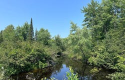 5 acres N Black River Road, Cheboygan, MI 49721