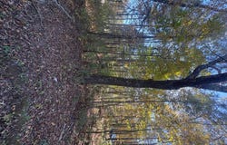 7730 Highway 75, Pinson, AL 35126