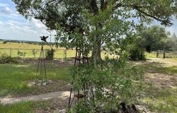 4317 Farm To Market Road 955, Fayetteville, TX 78940