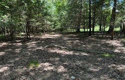 Prairie Mills Rd, Prairie, MS 39756