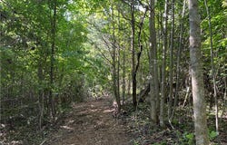 00 Albion Church Road, Mount Airy, NC 27030