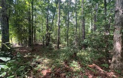 0 Roper Mountain Court, Lexington, SC 29073