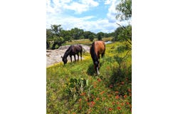 4928 W Hwy 71, Llano, TX 78643