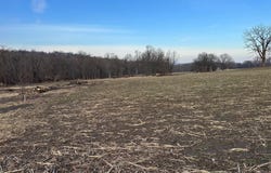 Lot 1 LONDON YORK HAVEN ROAD, YORK HAVEN, PA 17370