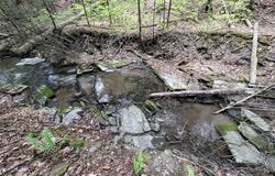 Stewart Road, Addison, NY 14801