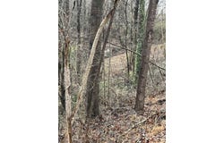 0 Greenville Highway, Lyman, SC 29365